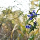 풀 - 전주시 완산구 홍산남로 83-19 | 풀