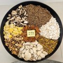 이 안 경 이미지