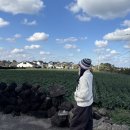 UR(제주시)-[일주동로]-하-9 | 제주도