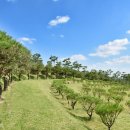 유토피아 이미지