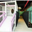 무주센트럴리조트&스파 이미지