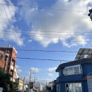 제주게스트하우스털보네 민박 | 제주게스트하우스 민박 내돈내산 숙박 후기