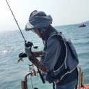 대성1호 이미지