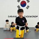 명지 키즈 태권도 이미지