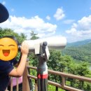 애향목장 | 그냥은 못 가는 화순 적벽 버스투어 후기 | 화순까지 왔는데 적벽은 보고 가야지 😆