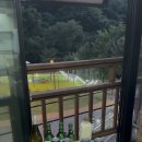 어비 포레스트 네이버블로그