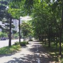 태안펜션더홈 이미지