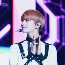 데이지수