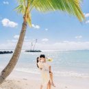 하와이오케이(Hawaii ok) | 하와이 스냅 업체비교 &amp; 커플포즈 모음.zip (ft. 웨딩촬영 준비)