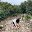 강서구-86 | [부산 강서구] 가덕도 연대봉 등산 후기｜아이들과 가기 솔직히 괜찮을까?