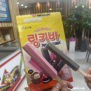 정선 강원랜드 카지노, 강원랜드후기 (강원랜드 꿀팁,찐후기,입장시간,대기시간,분위기)