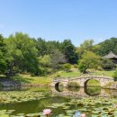 삼랑진파크골프장 | 밀양 하남파크골프장 예약하기 홈페이지 운영시간 휴장일 요금 위치