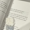 이개누구개 | 누군가의 완전한 취향이고 싶다