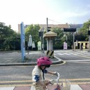 어린이교통공원 자전거대여소(3월~10월) 네이버블로그