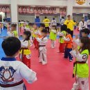 경희대강한태권도장 이미지