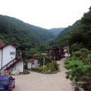 미라실로 이미지