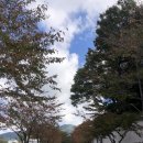 토함빌리지 이미지