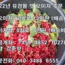 문경몰 이미지