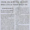 스테이나라 이미지
