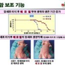 인체의 놀라운 면역시스템과 헤모힘 이미지