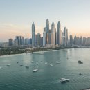 미래 메디컬 이미지