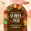 연주기획