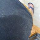 개나리 멍멍 이미지