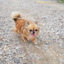 내동저수지낚시터 이미지