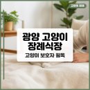 하동우리들병원장례식장 | 광양 고양이 장례식장 걱정 마세요. 광양 반려묘 장례 추천 시설, 비용, 후기 모두 정리.