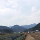 농업회사법인 (주) 지리산동의촌