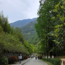 쮸쮸멍 | 하나투어 푸바오 푸키지 후기 4: 선수핑 기지 5초밥 돌기~