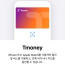 아이폰으로도 이제 교통카드 된다구요!? 현대카드없이 애플페이 티머니 등록후기