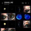 샤인아이안과동물병원 이미지