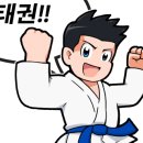 퍼펙트태권도 이미지