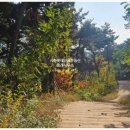 사화체육공원 이미지