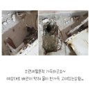 남통시설녹지 화장실 | ​[금곡동 하수구 막힘] 상가 화장실 바닥 배수구 역류 완벽하게 뚫어 해결한 후기