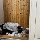 씨유 수유한신점 | 먹기만 오지게 먹은 문지의 3월 일상 .... ⭐️