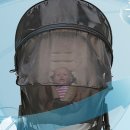 청풍방역