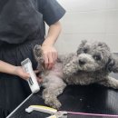 KT만수지점 이미지