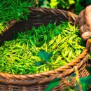 전주기독병원 이미지