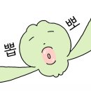 CJ대한통운 앰버서더 2기 합격 후기 | 서류&amp;면접 팁 총정리