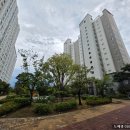 골드디움아파트 | 구미 산동 골드디움 프리미엄 도배 (디아망 회벽크림)