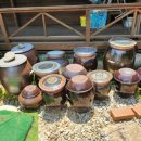 거창식당 민박 이미지