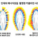 엘솔루션