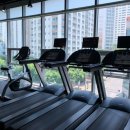 소나무 휘트니스 이미지