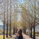 매월당민박 네이버블로그