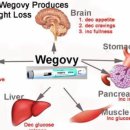 메디팜동일약국 이미지