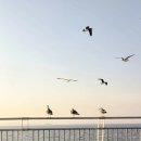 공원 휴게소 | 안산대부도 아이와 가기 좋은 시화나래 휴게소 볼거리 즐걸거리 모아보기 공원, 달 전망대, 시화조력문화관