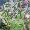 한림정역 이미지