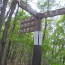 세광주유소 이미지